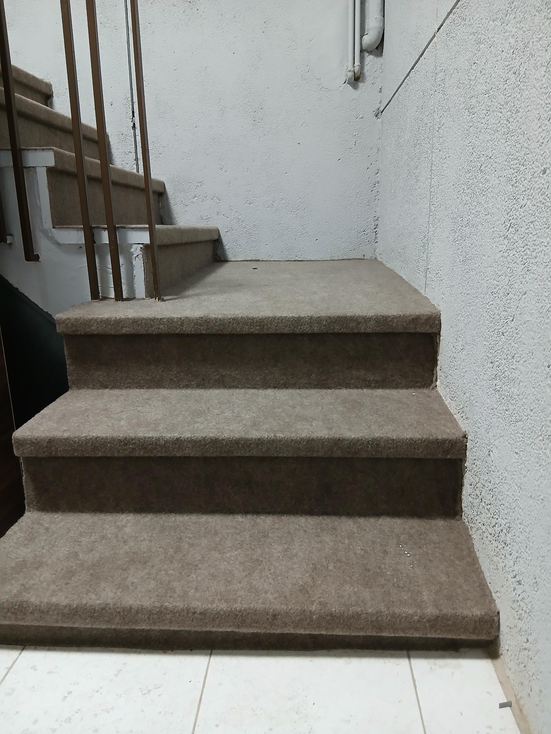 عکس پالاز موکت