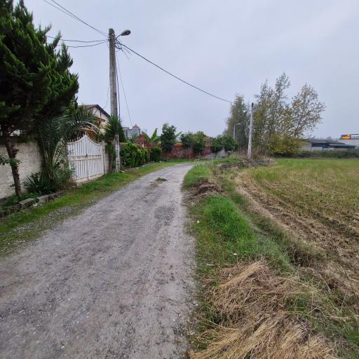 عکس ولیسده