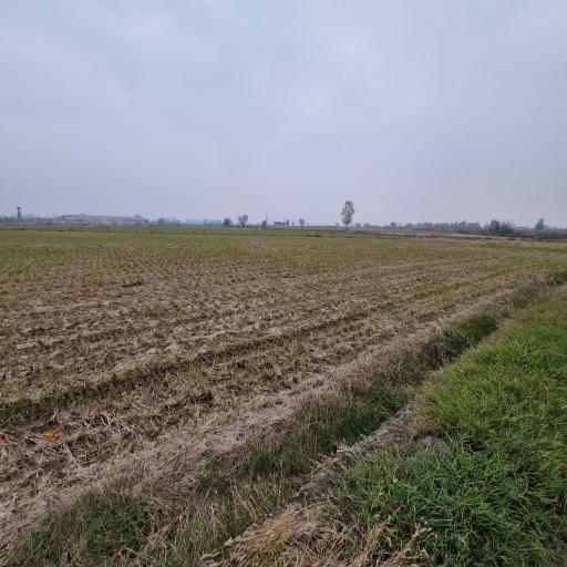 ولیسده