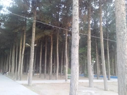 عکس بوستان خانواده