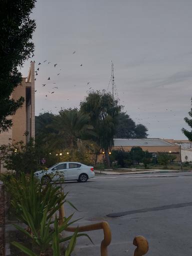 عکس دانشگاه خلیج فارس بوشهر