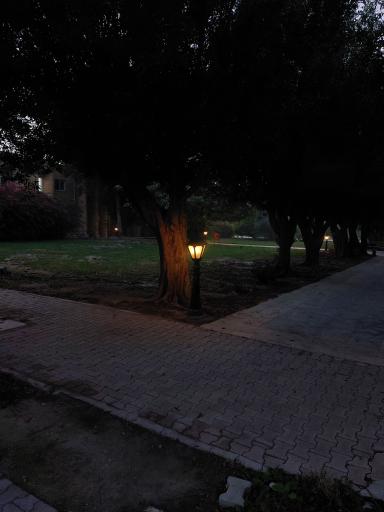 عکس دانشگاه خلیج فارس بوشهر