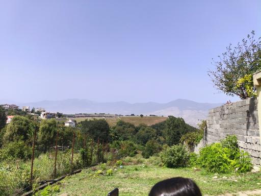 عکس گیسوم