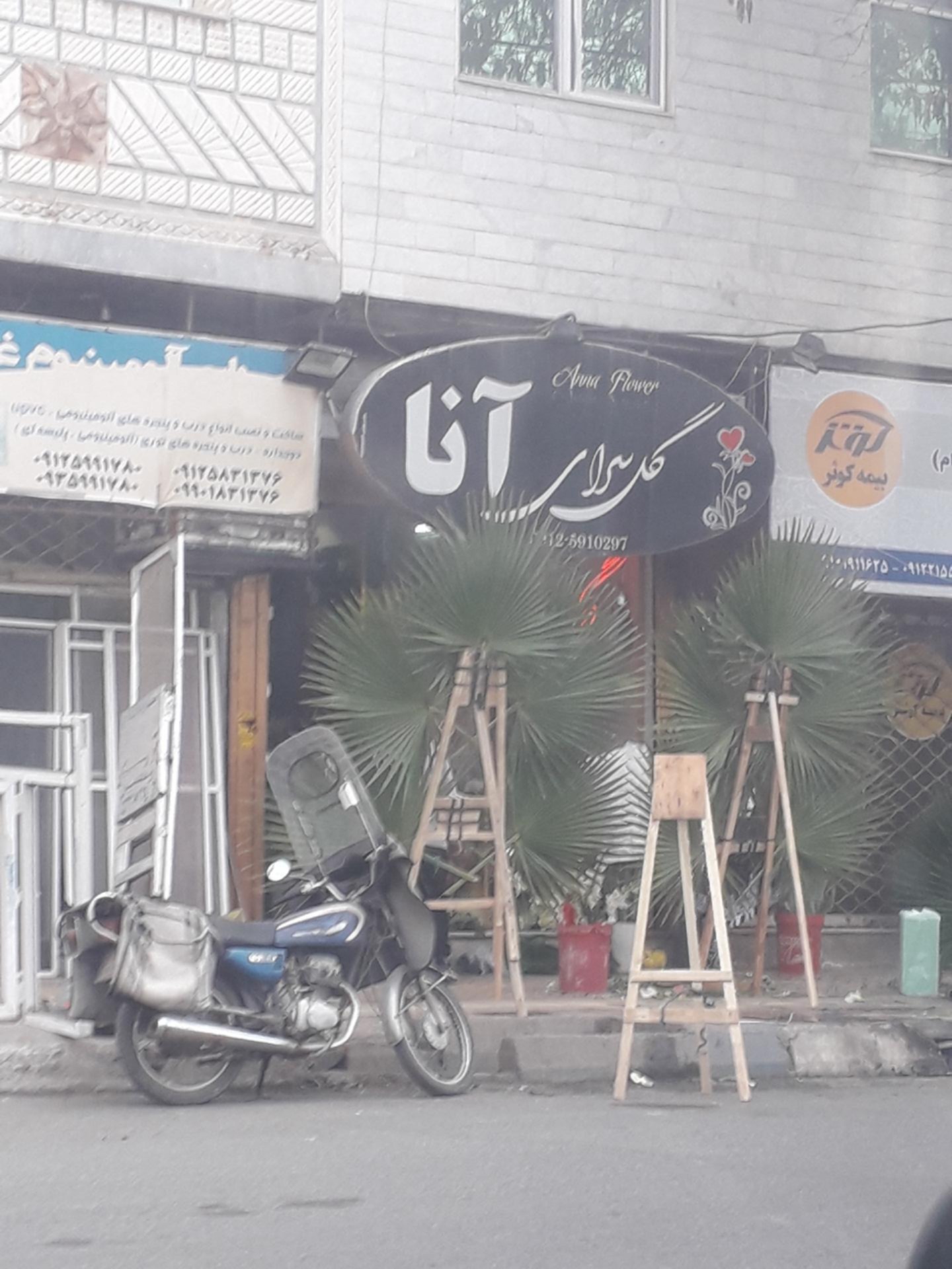عکس گل سرای آنا