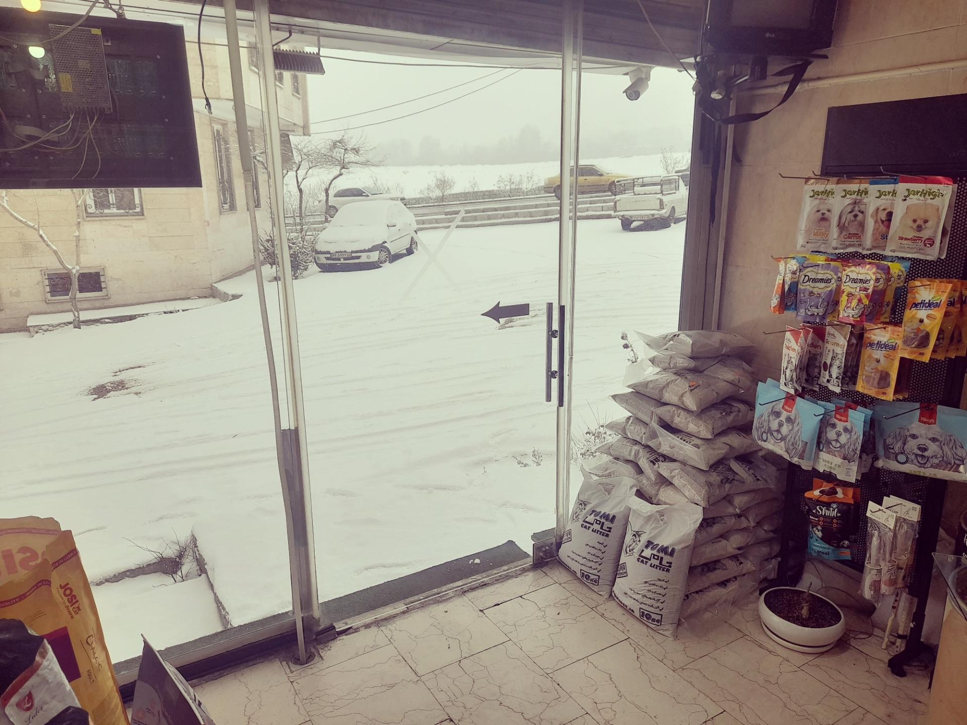 عکس پت شاپ آتیلا