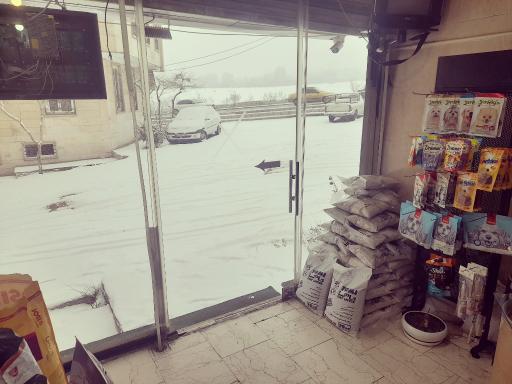 عکس پت شاپ آتیلا