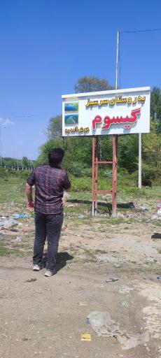 گیسوم