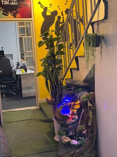 عکس آموزشگاه موسیقی تیک تاک