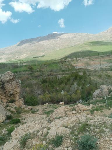 عکس باباحیدر