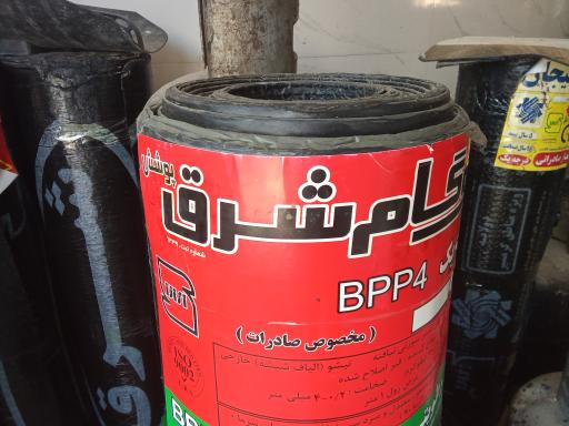 عکس ایزوگام سعید رضایی 