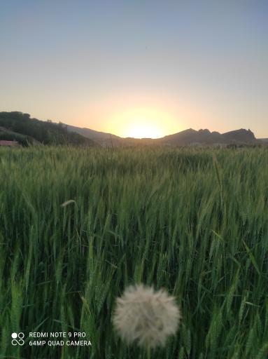 عکس باباحیدر