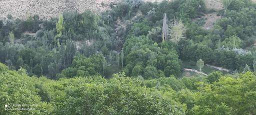 عکس باباحیدر