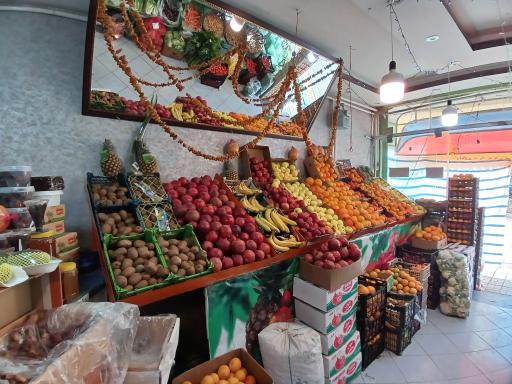 عکس میوه سرای نادری