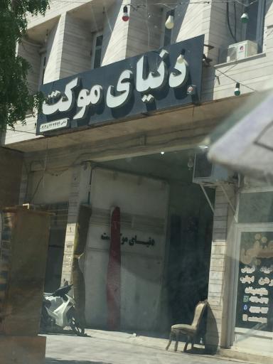 عکس دنیای موکت