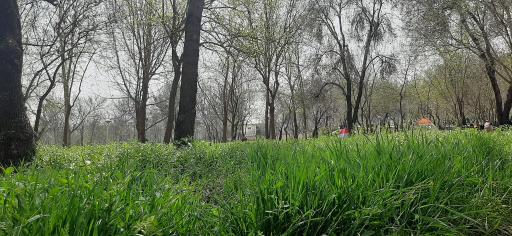 بوستان جنگلی غدیر