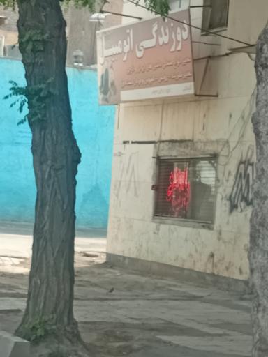 عکس دوزندگی اتومبیل