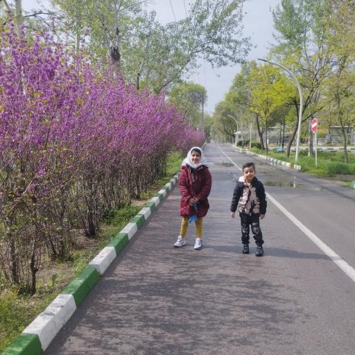 بوستان جنگلی غدیر