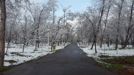 عکس بوستان جنگلی غدیر