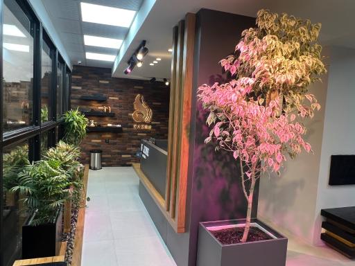 عکس کلینیک زیبایی کاژه