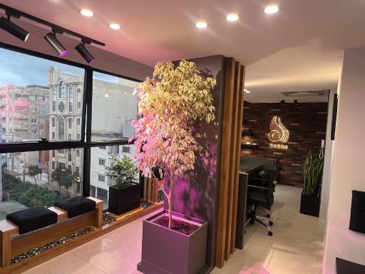 عکس کلینیک زیبایی کاژه