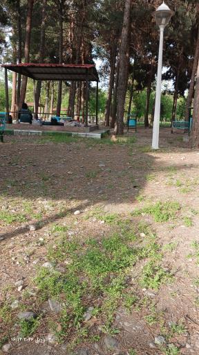 عکس بوستان جنگلی غدیر