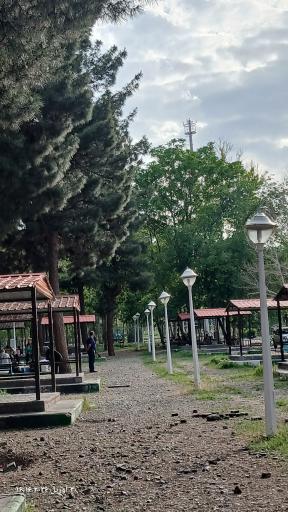 عکس بوستان جنگلی غدیر