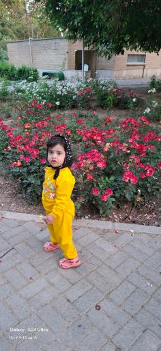 بوستان جنگلی غدیر