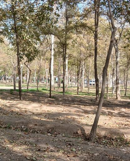 عکس بوستان جنگلی غدیر