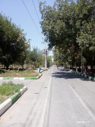 عکس بوستان جنگلی غدیر