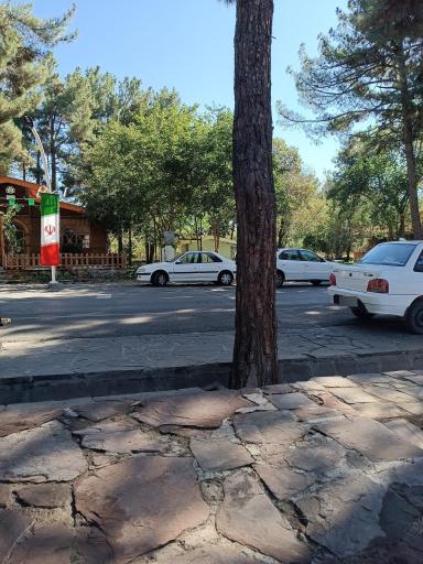 عکس بوستان جنگلی غدیر