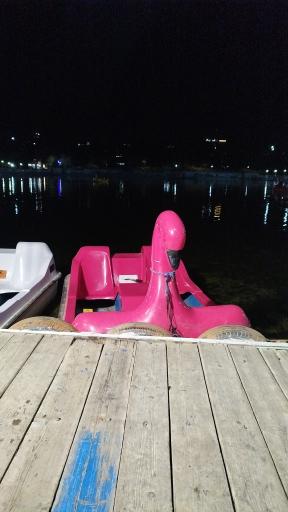 عکس بوستان جنگلی غدیر