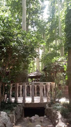 عکس رستوران باغ پدری