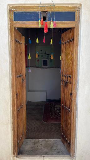 بوم‌گردی موج سوزا