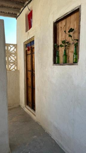 عکس بوم‌گردی موج سوزا