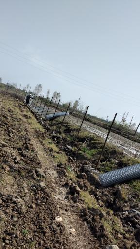 عکس حصار صنعت شمال