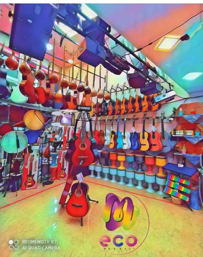 عکس اکو موسیقی مرکزی دانشور