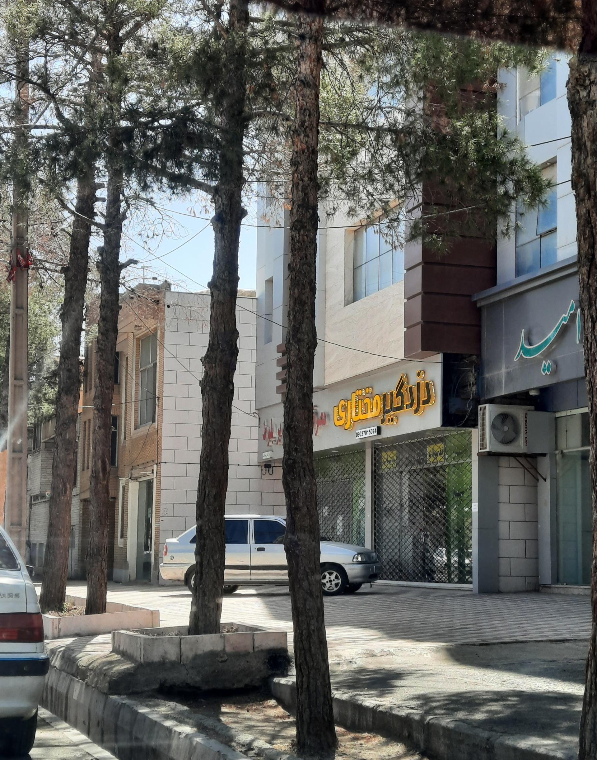 عکس دزدگیر مختاری