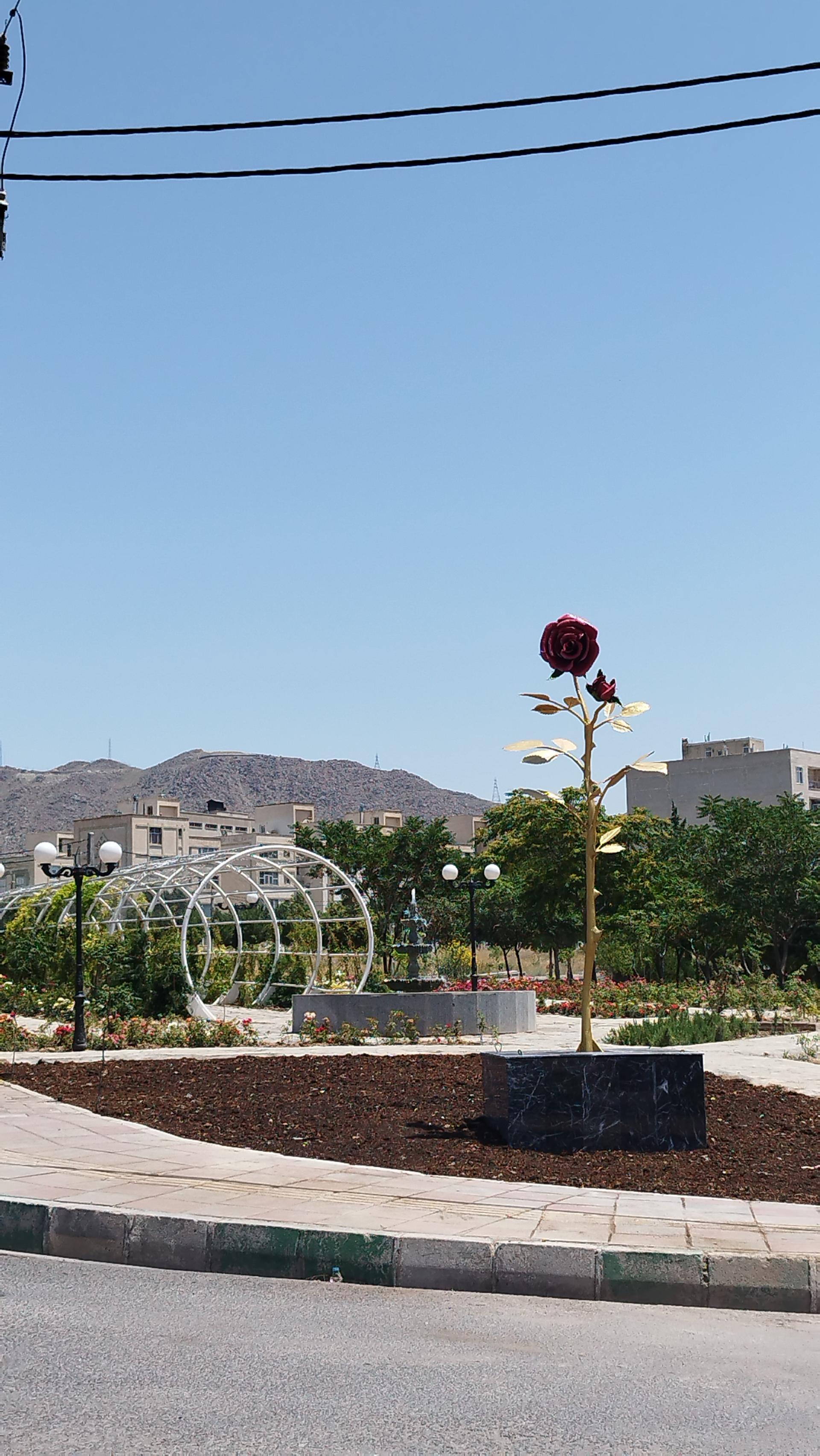 عکس بوستان رز