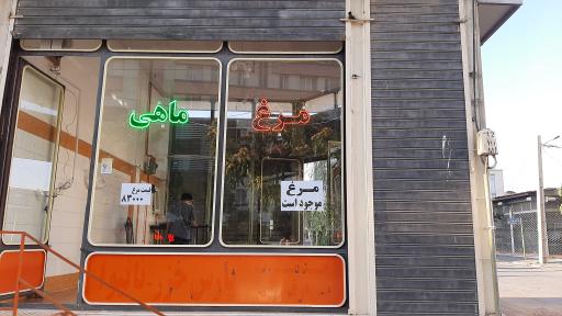 عکس مرغ و ماهی سید