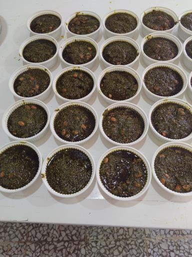 عکس کترینگ تهیه غذای صدف