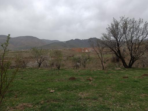 عکس رزجرد