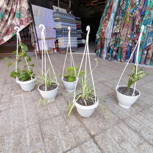 پارچه سرای علی