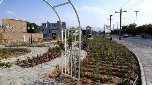 عکس بوستان رز