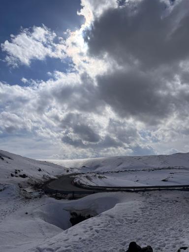 عکس رزجرد