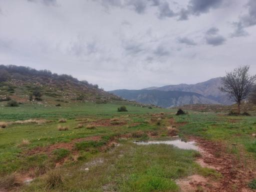 عکس دره اوپرت