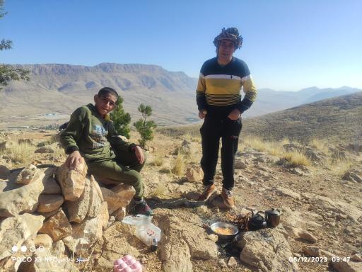 عکس بام شیراز