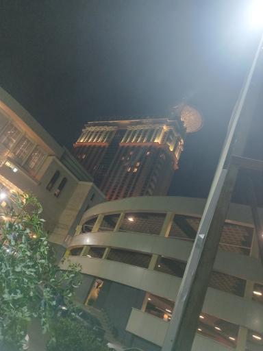 عکس تالار رویال تهران