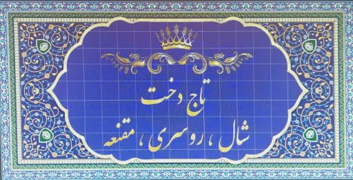 عکس شال و روسری تاج دخت ۲