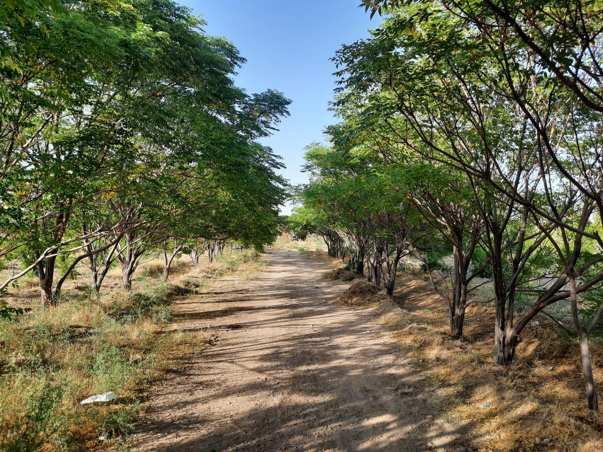 عکس پارک وحدت خواف