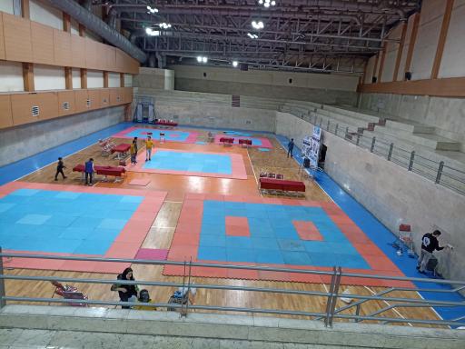 فدراسیون تنشینکان کاراته ایران